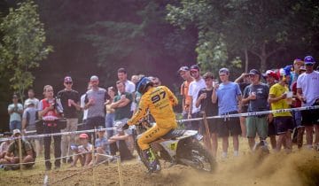 IL RITORNO DEL TOTAL YELLOW.